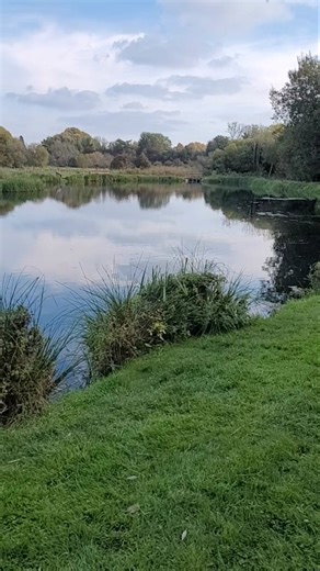 Bossington Est - Horsebridge lake, Andrew Bufton's Whichitiee Grub brings fish to the net 🎣🐋🐋🐋🐋