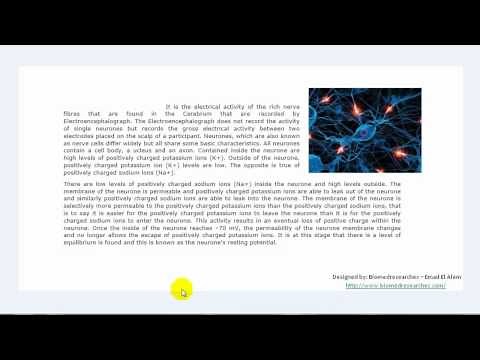 Understanding EEG Part3: Electrical activity of the Brain, brain waves and main parts of the brain,