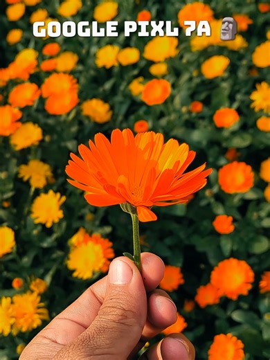 Google Pixel 7a Cinematic Photography Revolution