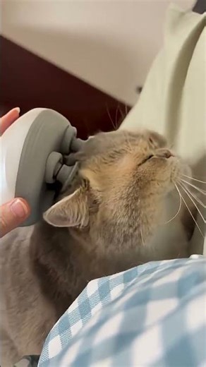Electric Pet Massager for Dogs and Cats