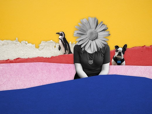 This Is Not About Me - Apple TV (CA)