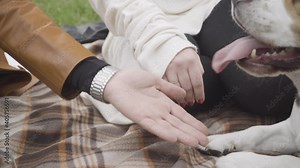 Close-up of senior and young female hands touching dog's paw. Unrecognizable Caucasian pet owners enjoying spring or autumn weekends in park outdoors. Leisure concept.