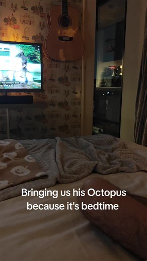 Schnauzer Mini's Bedtime Toy Ritual