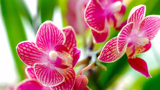 When does spring start in NY? Exact time for the 2026 equinox