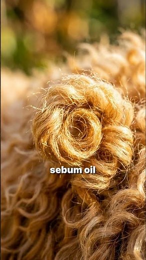 A high quality slicker brush acts as a PUMP, pulling oil from the skin up to the entire hair shaft.