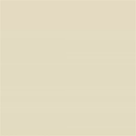 Guest Internet on TikTok