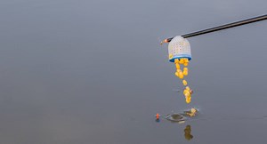 It's time for the MEGA POT! Now the weathers warmed up & the fish are having a munch it's time to get the Mega Soft CAD Pot's out & really give it them! | Preston Innovations