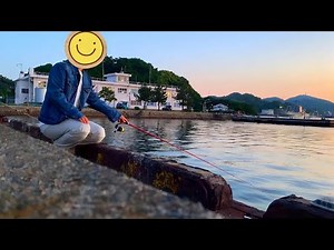 夕方のちょい釣りをしよう🎣