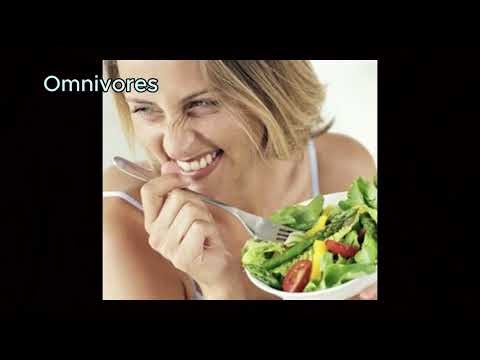 Earth & Life Science 11 video presentation project "Ecosystem"