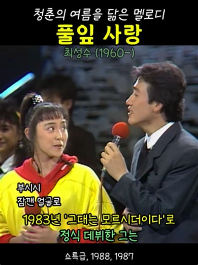 청춘의 멜로디 . 풀잎 사랑. 최성수 #추억의노래 #스타시대 #7080노래 #8090음악