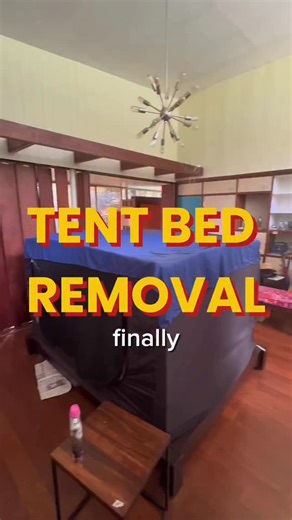 Cool Bones Casa | Mid Century Modern on Instagram: "What do you think we found inside the tent bed? How much money would it take for you to have slept in this tent bed? 🤔 #midcenturymodern #coolbonescasa #fixerupper #midcenturyhome #casa #midcenturydesign #midcentury #vintagehome #cleaning #clean #decluter #declutteryourhome #decluttering #losangeles #newyork #atlanta #chicago #mexico #firstimehomebuyer #firstimehomeowner #tent #tentlife #tentbed #interiordecor"