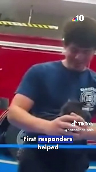 Police in #Delaware have solved a mystery inside their own building. Officers in Elsmere were hearing strange noises coming from one of their vehicles. Their search for the mysterious voice has a purr-fect ending. #nbc10philly #kitten