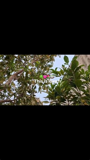 day17/50💗 subscribe to see more #productivity #loveyourself #romanticizeyourlife #beproudofyourself