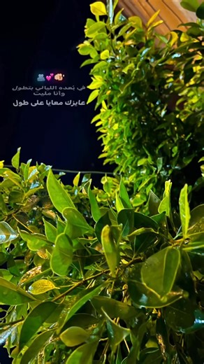 كلما تذهب عيني عليك: أغنية حب مؤثرة
