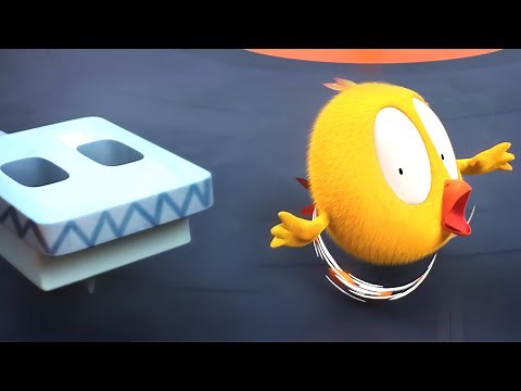 Run, Chicky! | Where's Chicky? | Cartoon Collection in English for Kids | New episodes