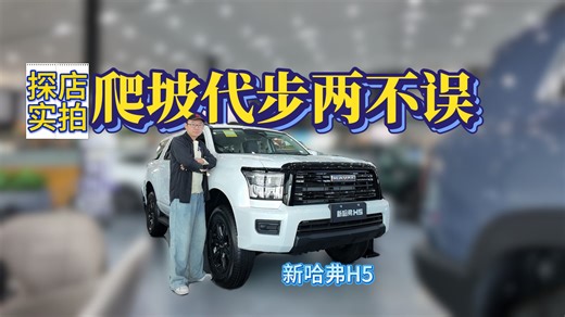 12.78 万起 5.19米车长，新哈弗H5探店，非承载车身 柴油四驱