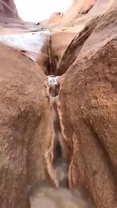 63K views · 432 reactions | amazing nature 藍 | Best Videos | Facebook