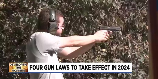 Four gun laws take effect in Michigan in 2024