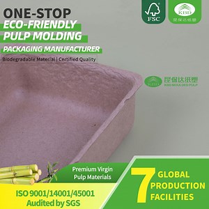 [Hot Item] Eco-Friendly Versatile Small Pulp Paper Box Made From Recycled Materials