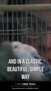 Sylvester Stallone talks about the first time meeting Talia Shire and casting her for the role Adrian 📲 Head to experiencewith.com to stream the full exclusive interview now 🫵🏼 Experience With is Inspiration on Demand 📲 | An Experience With