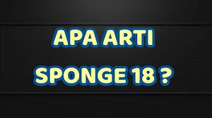 Apa Arti Sponge 18 Viral di TikTok? Istilah Hits Punya Makna Vulgar, Tak Boleh Sembarang Diucap - TribunTrends.com