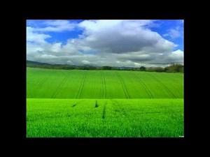 HD Desktop and Laptop Wallpapers for your Computer