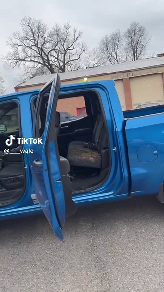 Effective Dog Waste Removal Services