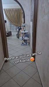 Da tik tok shop | Peppe EGresy Giuffrida