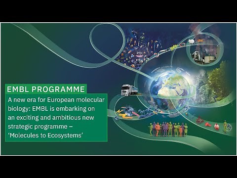 A new era for European molecular biology: EMBL is embarking on a new strategic programme