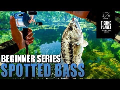 Fishing Planet 2022 - Spotted Bass hotspot Beginners Money and Xp Guide🎣 - Lonestar lake