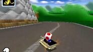 Mario Kart DS Shroom Ridge-1