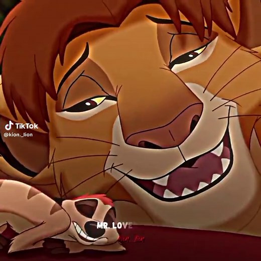 Simba 😻 #simba #thelionking2 #fyp