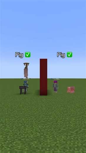 Trav on Instagram: "Minecraft lying challenge 5… Mod: Butchery"