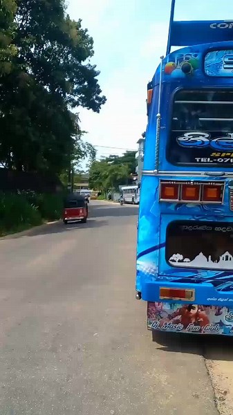 නිල් කිරිල්ලි - Blue Chick 02 💙💙