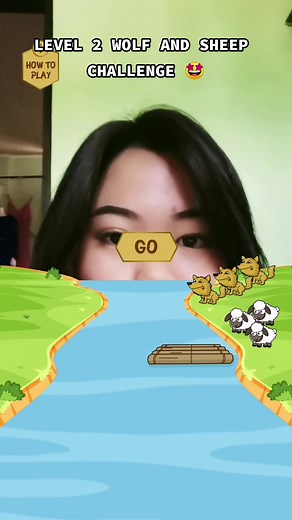 Solved Sheep and Wolf Game Challenge