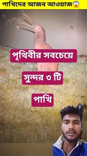 Strange bird sounds 😱 Must Watch || #shorts #shortsvideo #birds