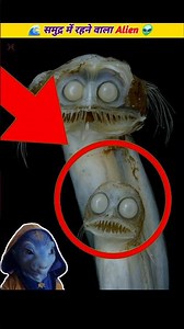 The Alien Fish of the Deep Sea 👽🐟