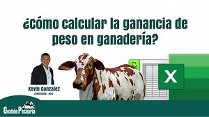 2.9K views · 141 reactions | ⏯ VÍDEO  VÍDEO  Cuarto video del...