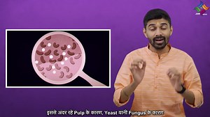 2.2K views · 93 reactions | What Is The Process Of Making Cocoa Powder Using Cacao Beans ? 樂 & Is Cocoa Powder Considered Bhakshya Or Edible According To Jainism ? 樂 #jainism #jaindharm #jainreligion #jains #jain #jainstatus #cocoapowder #coco #cacaobeans #chocolates #chocolatecake #icecream #luwakcoffee #jainismupdates #explorejainism #jinshasan #jainmedia #Fermentation #abhakshya | Jago Jain Jagore | Facebook