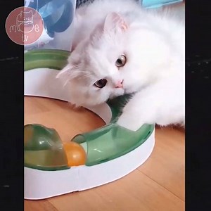 Things that make my heart melt