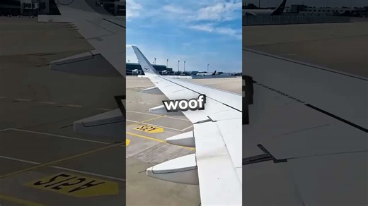 Airbus A320 barking noise PTU explained