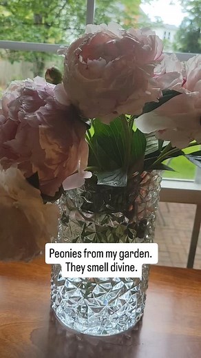 My garden is blooming so beautifully this year. I had to pick these peonie's because the flower heads are so heavy they drag on the ground and break their stems. So I get to have them in my house.They are beautiful and they smell divine. #jenniferhoffman #flowers #gardensofinstagram #peonies #highvibeswealth | Jennifer Hoffman
