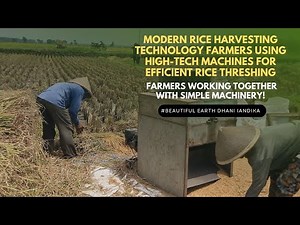 Modern Rice Harvesting Technology: Farmers Using High-Tech Machines for Efficient Rice Threshing