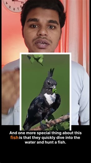 This type of bird is only seen in Banglades