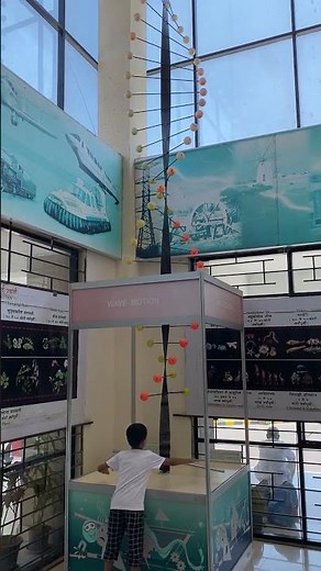 Wave motion- How Do Waves Move?