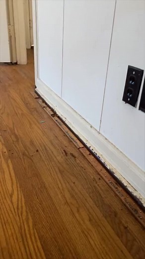 Removing Tack Strips. A simple #DIY | Nik and Liv DIY