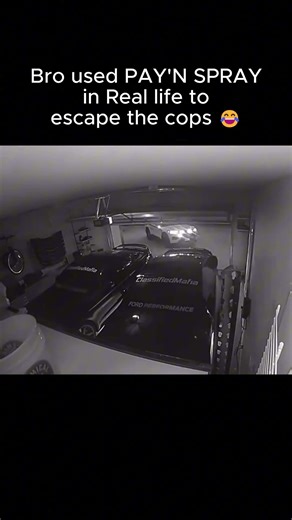 Bro used PAY'N SPRAY in Real life to escape the cops