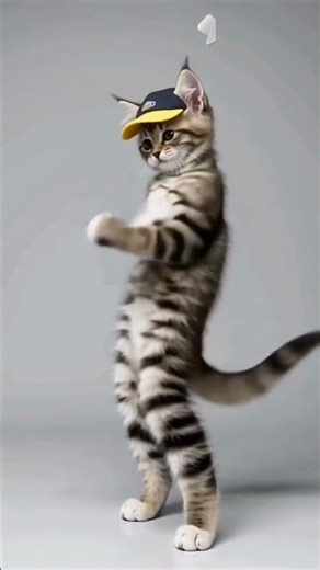 Count numbers with Cat