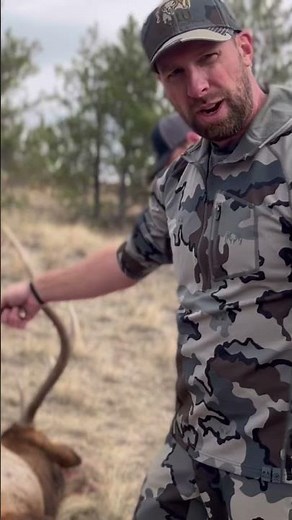 Gutless Method for Elk #hunting #deer #outdoor #elk #hunter #biggame #conservation #fielddress