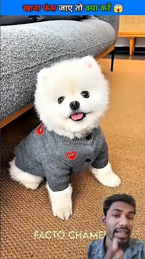 gale mein kuchh fans jaaye to #shortvideo #opp1 #shortvideo